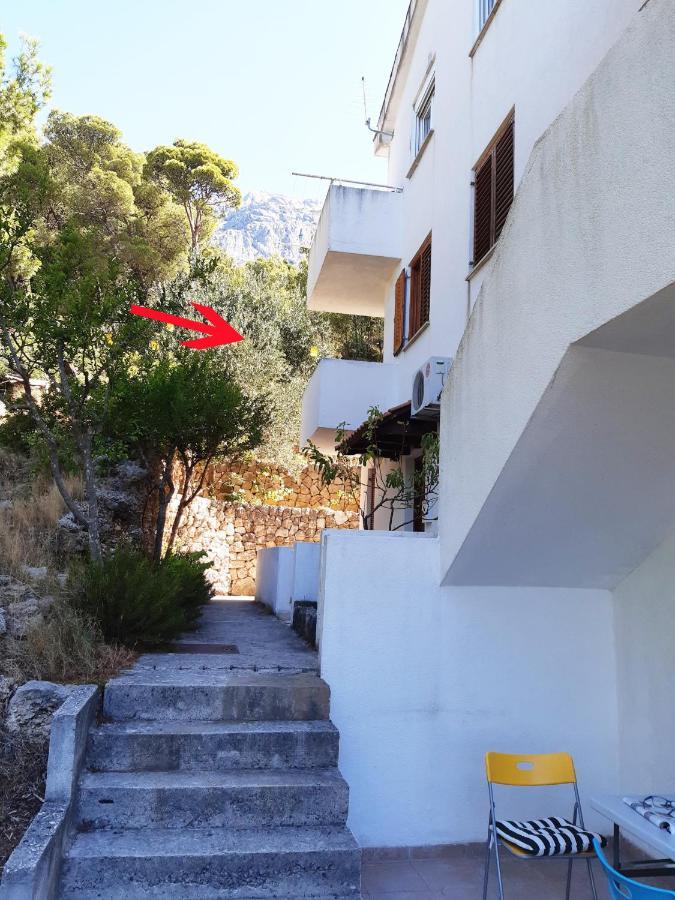 Peace And Quiet Apartment In Brela, Croatia Zewnętrze zdjęcie